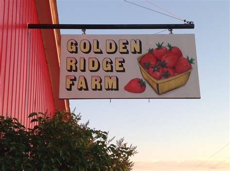 Golden Ridge Farm Sherman Maine
